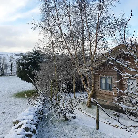 Pear Tree Cabin *