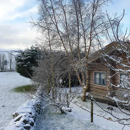 Pear Tree Cabin *